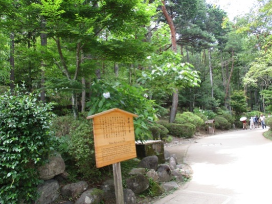 nori1300725
