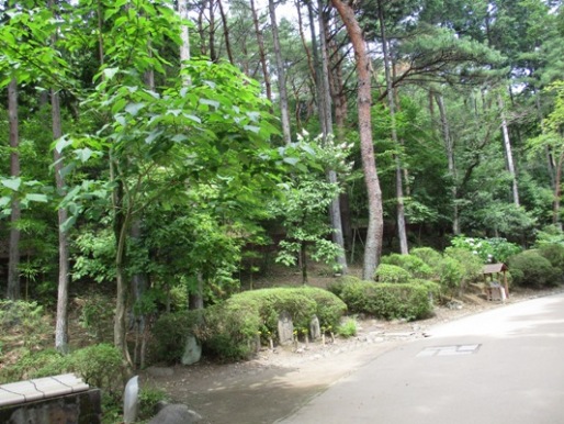 nori2300725