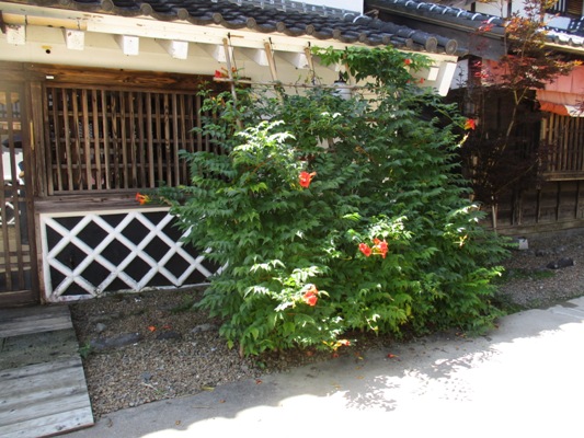 nou2010913