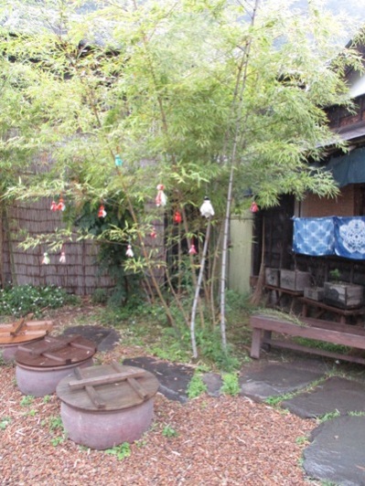 nyan2300623