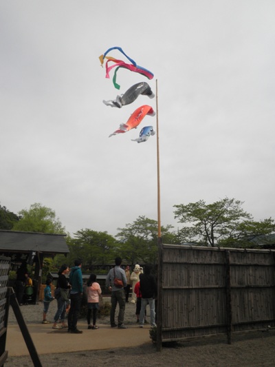 nyan270505