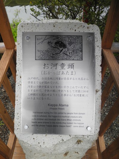 oka22800512
