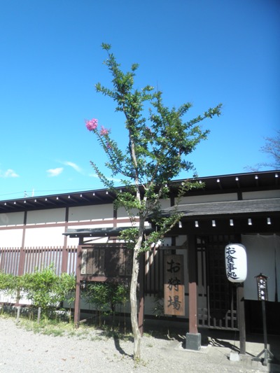 oka2280905