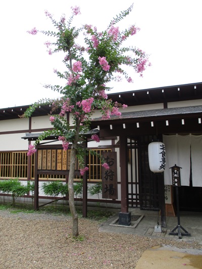 oka2300817