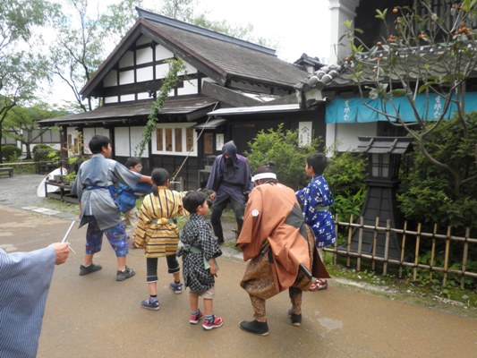 oka8270628