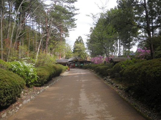 okuen270421