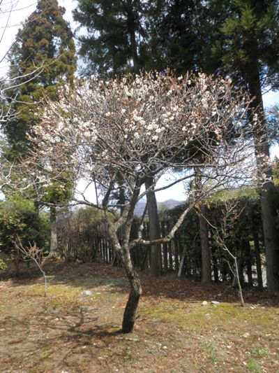okumigi270323