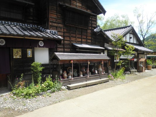 omi1280616