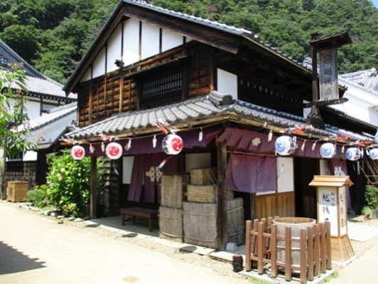 omi1300809