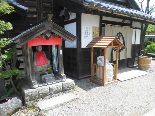 omi2280616