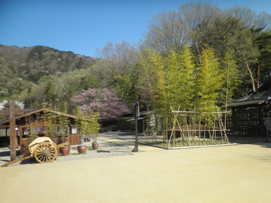 ooyama1280420