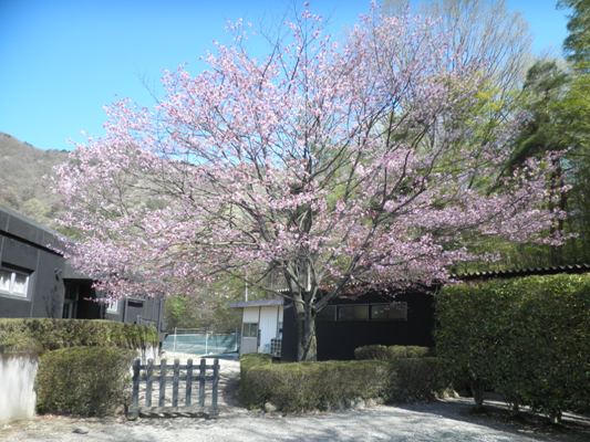 ooyama2280420