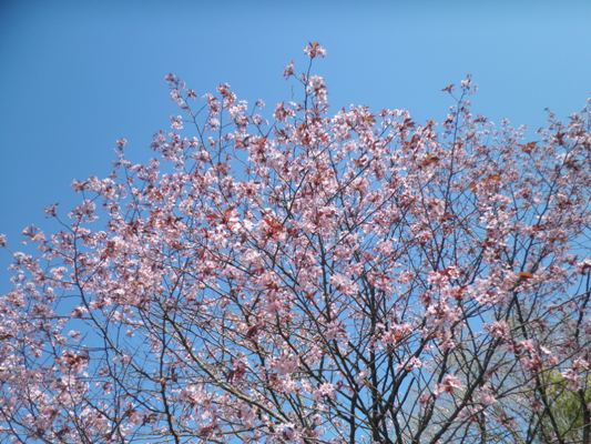 ooyama3280420