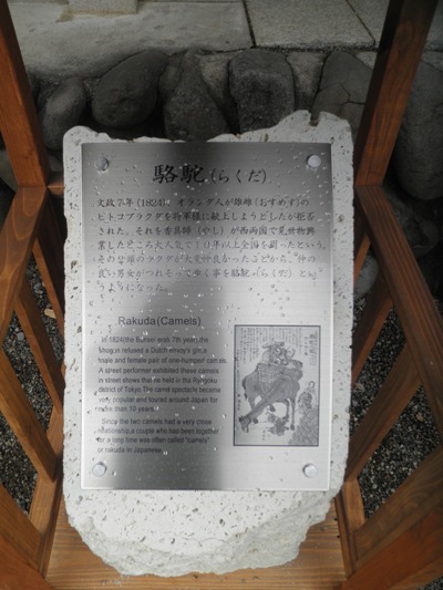 rakuda280522