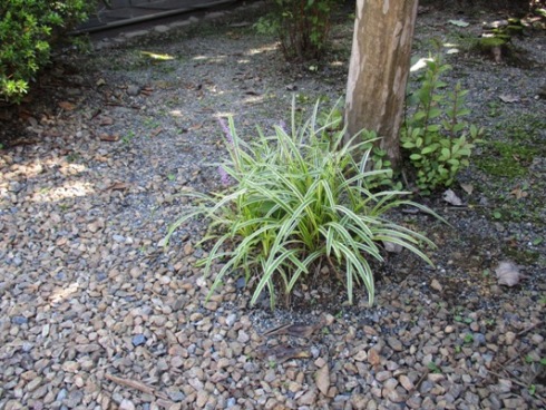 ran2010917
