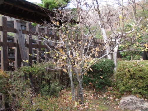 ro3301222
