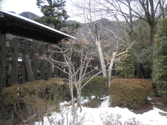 rou1290120