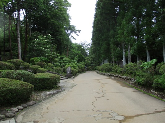 ryo1010706