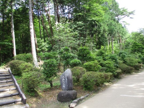 ryo1300703