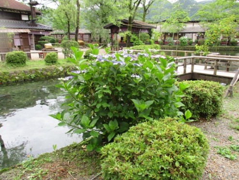 ryo2010713