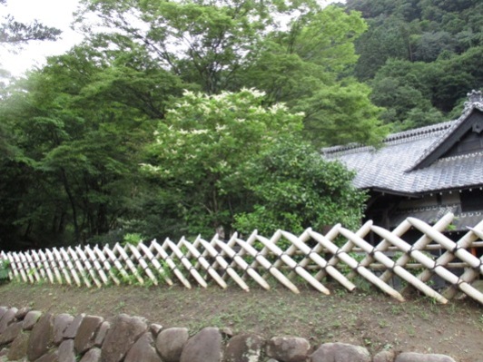ryo2010719