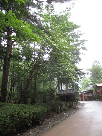 ryo2010722