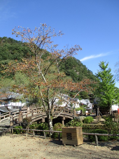 ryo2011020