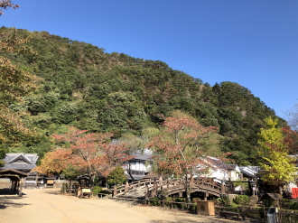 ryo301025
