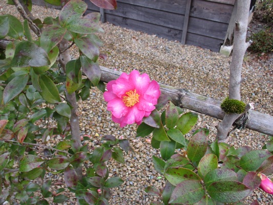 sa4020107