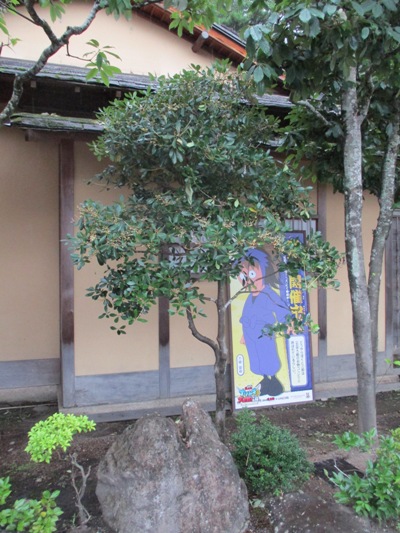 sakaki2290725