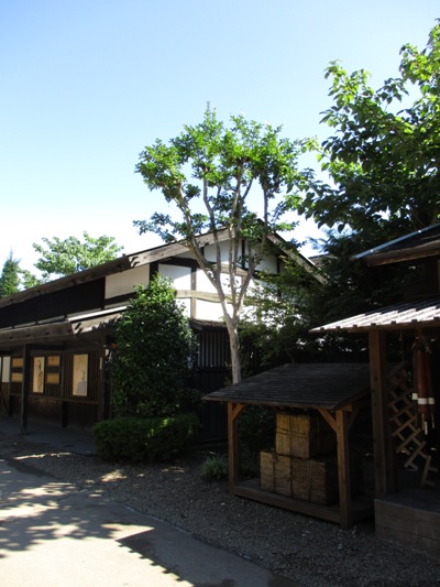 saru2010917