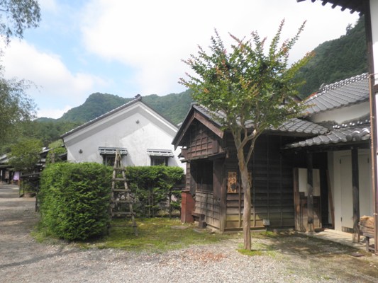 saruen260722