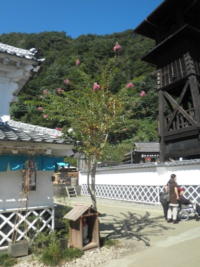 saruraiden261001
