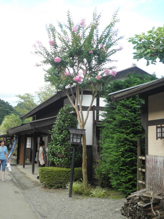 sarusu2289