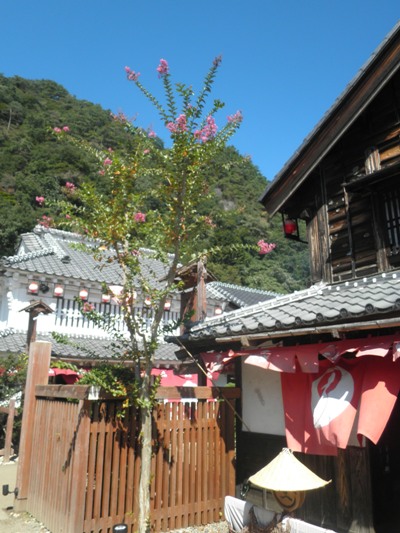 saruten261001