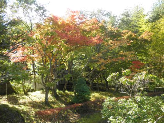 satonaka261103