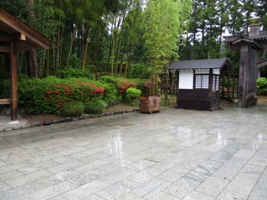 se1010615