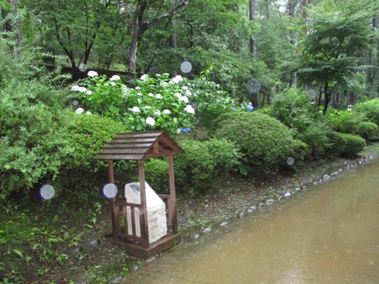 se1010704