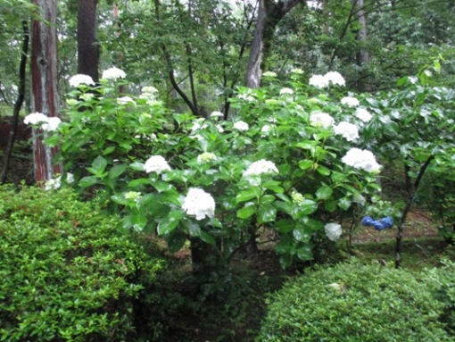 se2010704