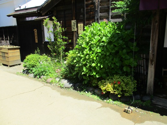 se2290615
