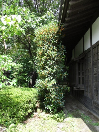 se2300924