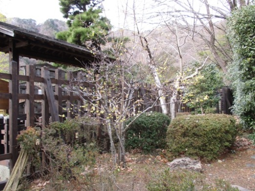 se2310109
