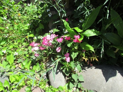 se290615