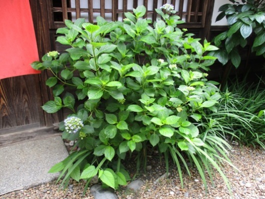 se3010628