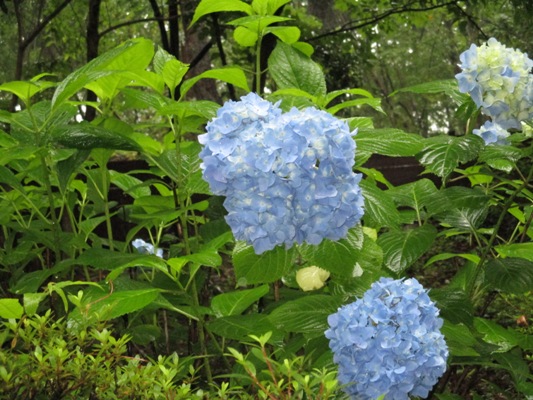 se5010704