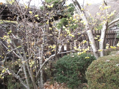 se5310109