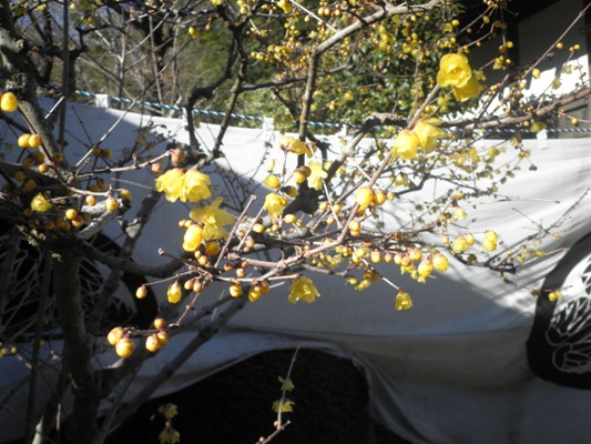 sekikin270113