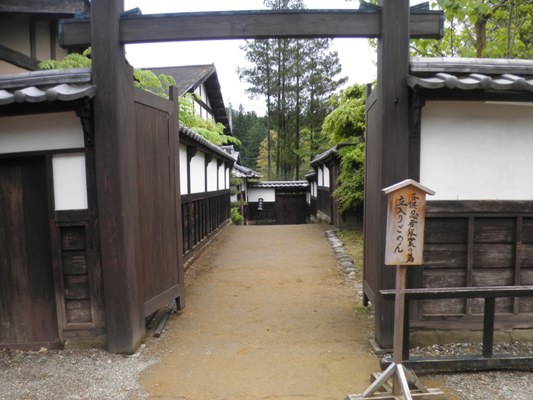 sensei280504