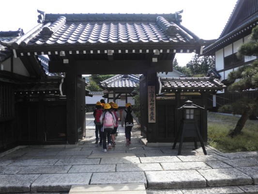sh5271005