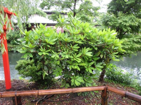 sha2010621